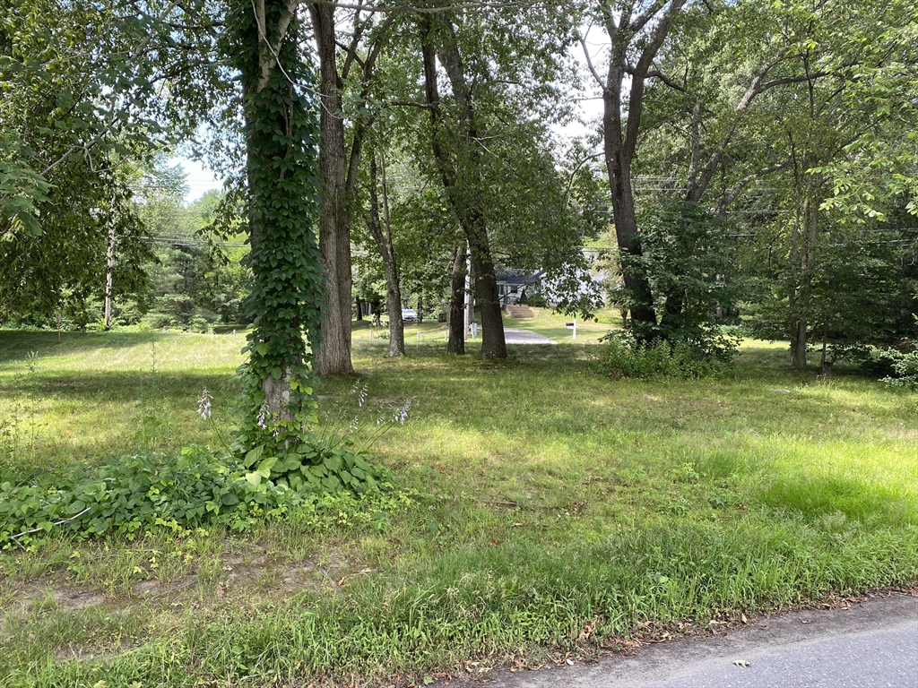 Lot Amherst Street