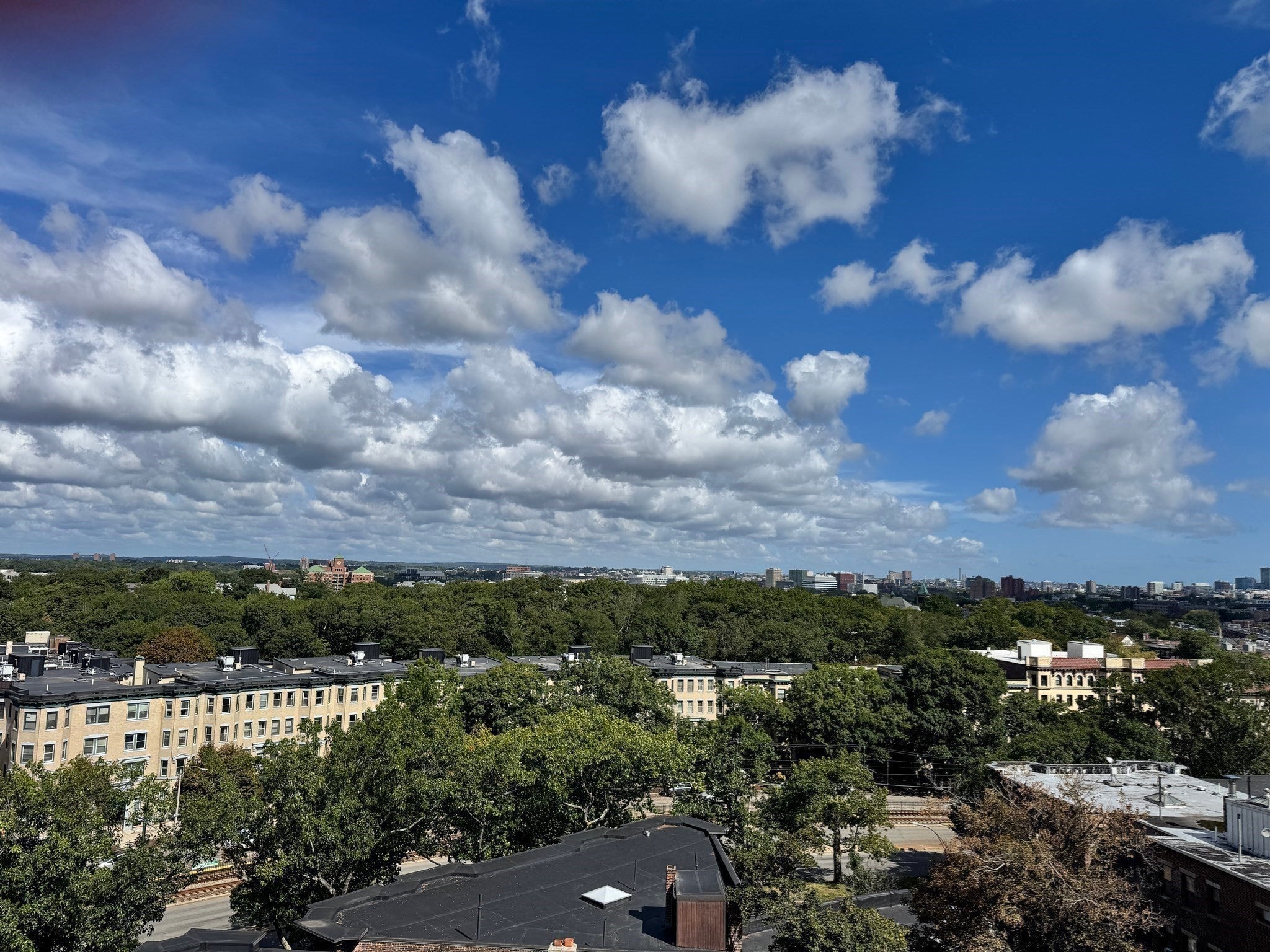 147 Kelton St #704, Boston, MA, 147 Kelton St #704, Boston, MA Photo #23