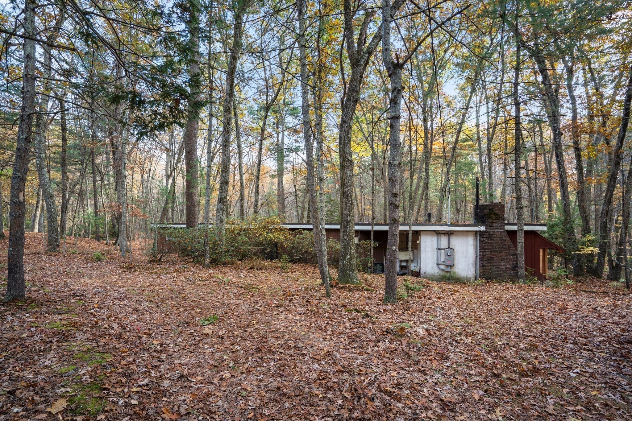 89 Lexington Road