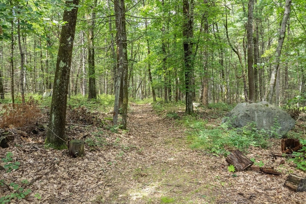 597 Old Dunstable Rd, Groton, MA, 597 Old Dunstable Rd, Groton, MA Photo #28