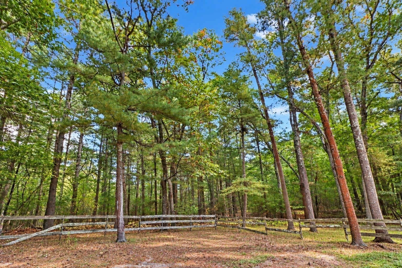 17 N Washington St, Norton, MA Photo #37