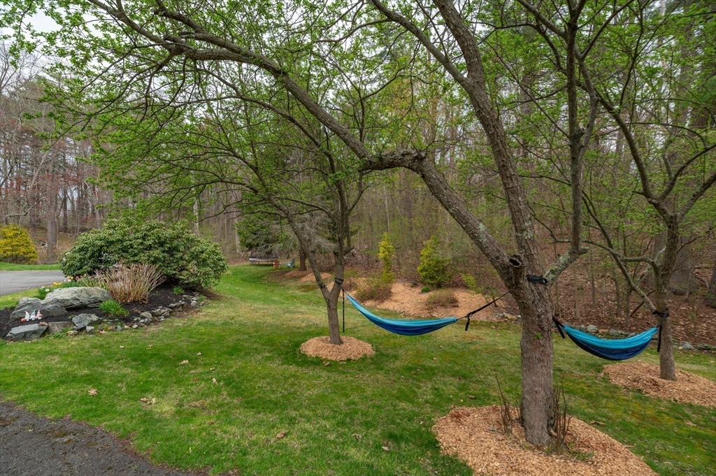 39 Alderbrook Dr