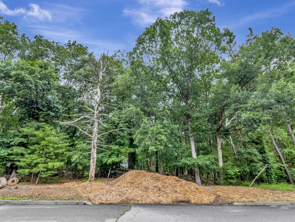 15 Randall Farm Drive