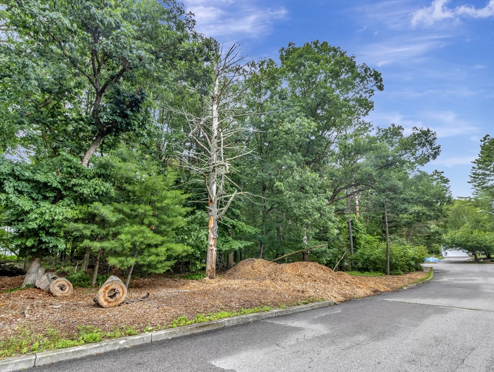 15 Randall Farm Drive