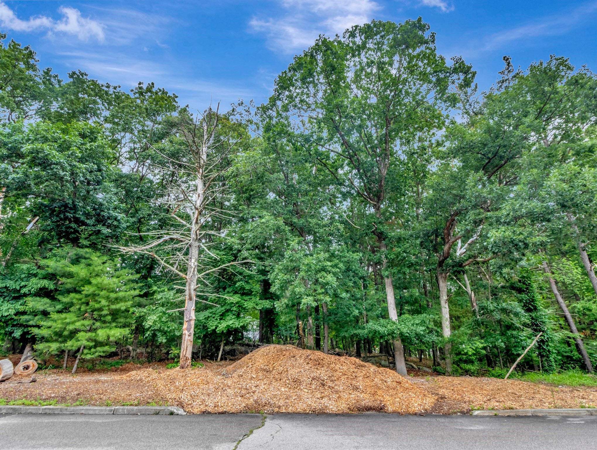 15 Randall Farm Drive