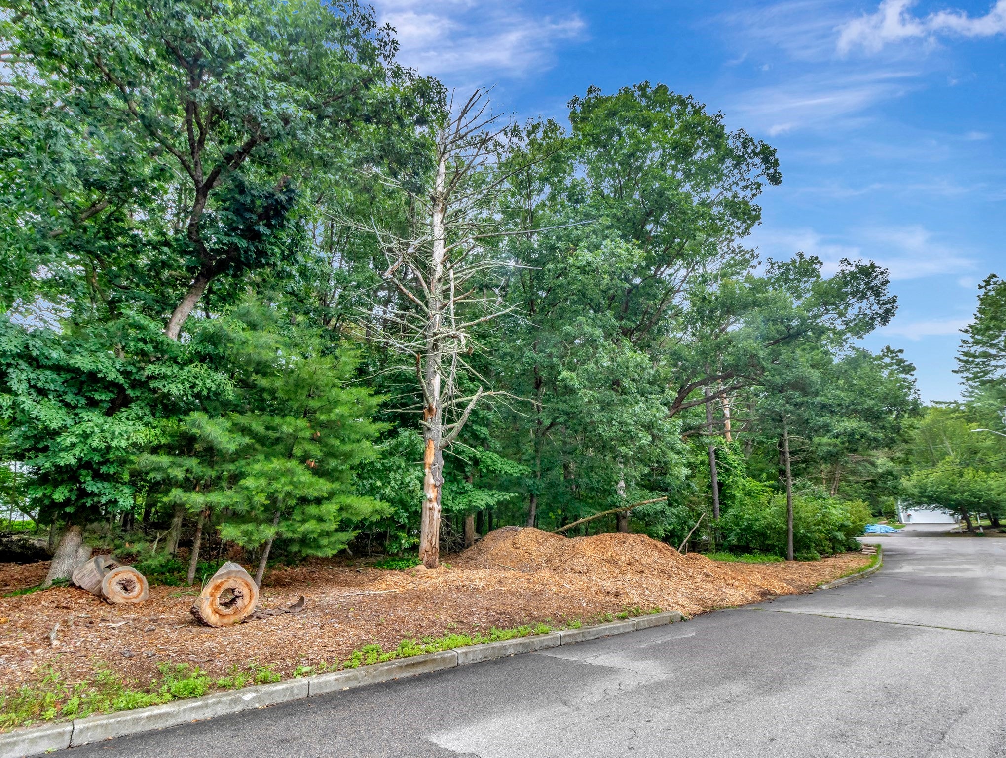 15 Randall Farm Drive