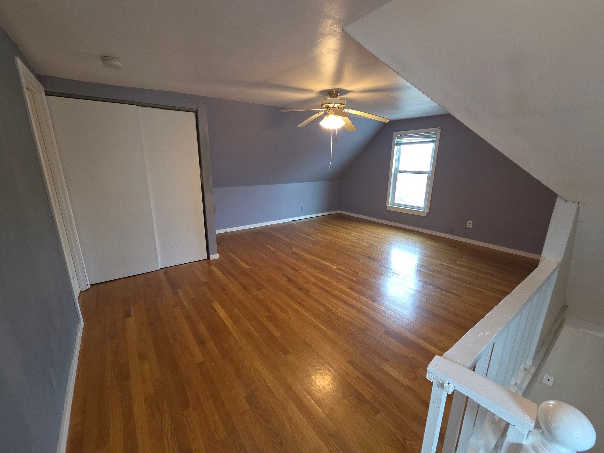 120 Woodrow Ave, Boston, MA Photo #20