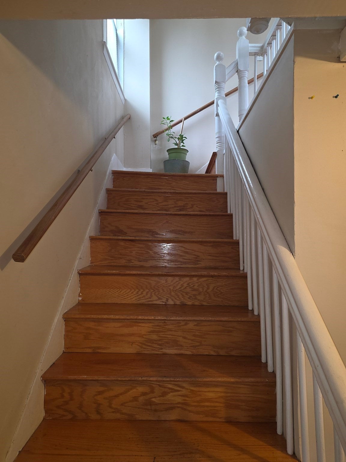 120 Woodrow Ave, Boston, MA Photo #13