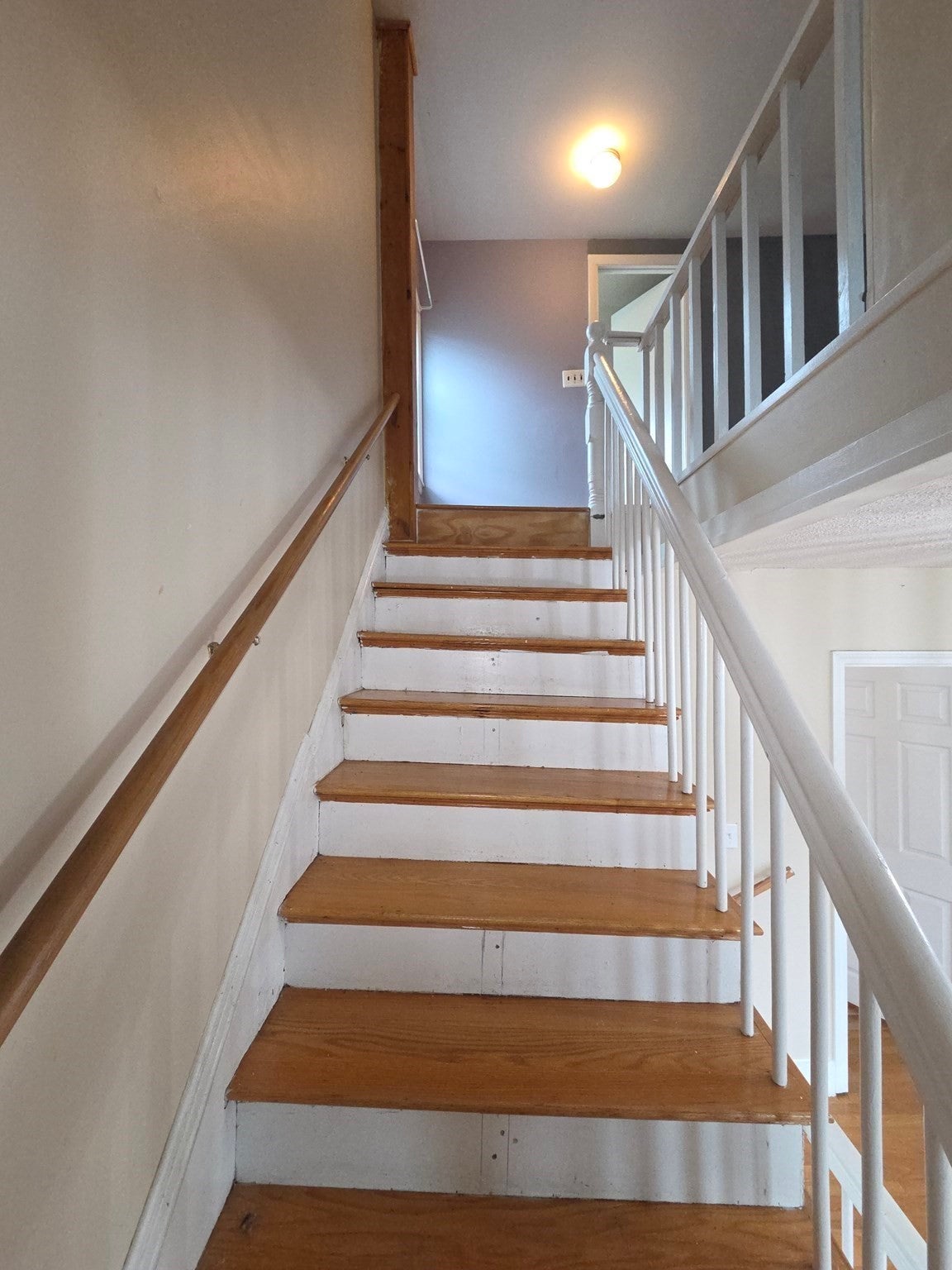 120 Woodrow Ave, Boston, MA Photo #16