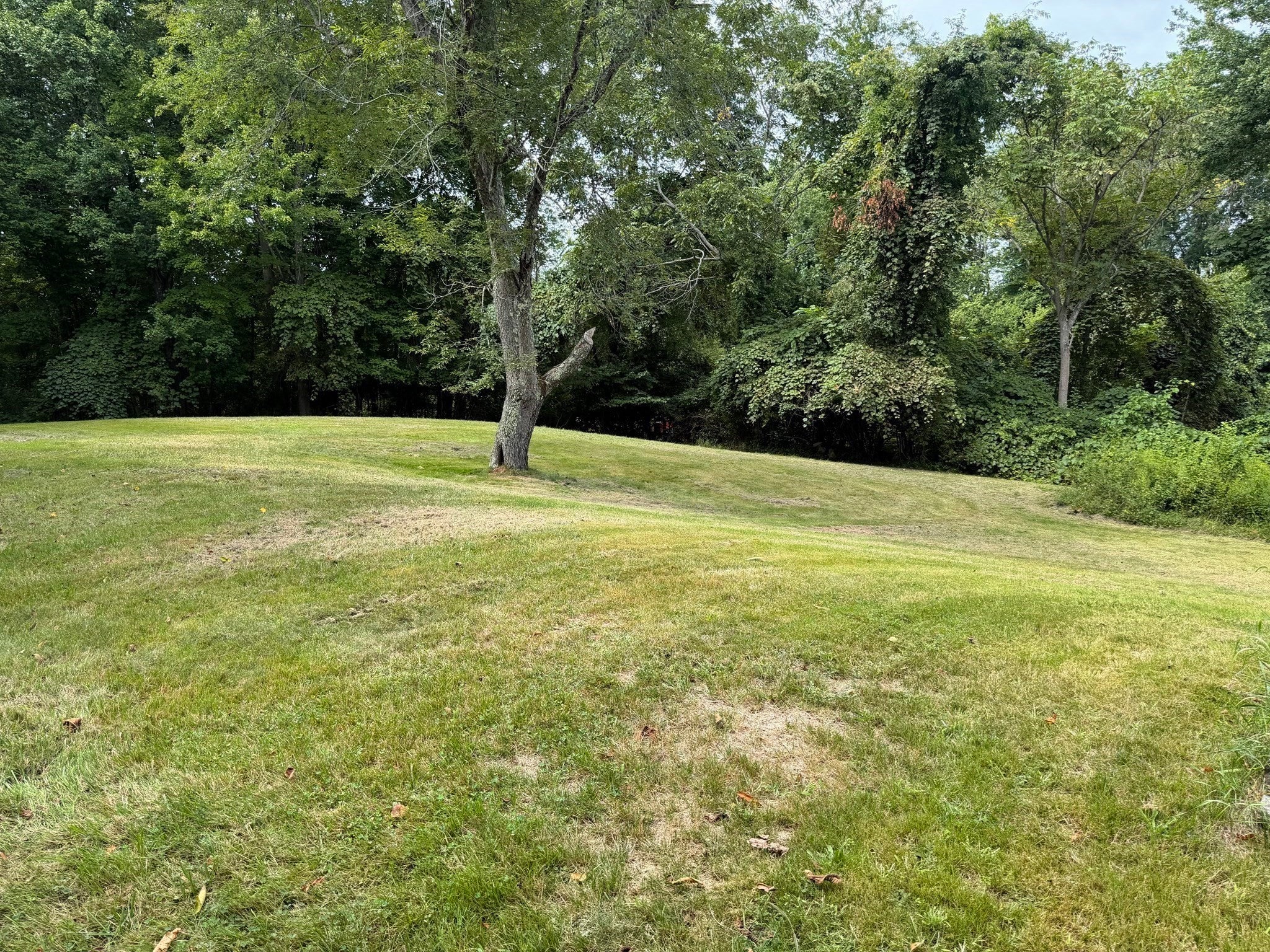 211 Alger St, Brockton, MA Photo #4