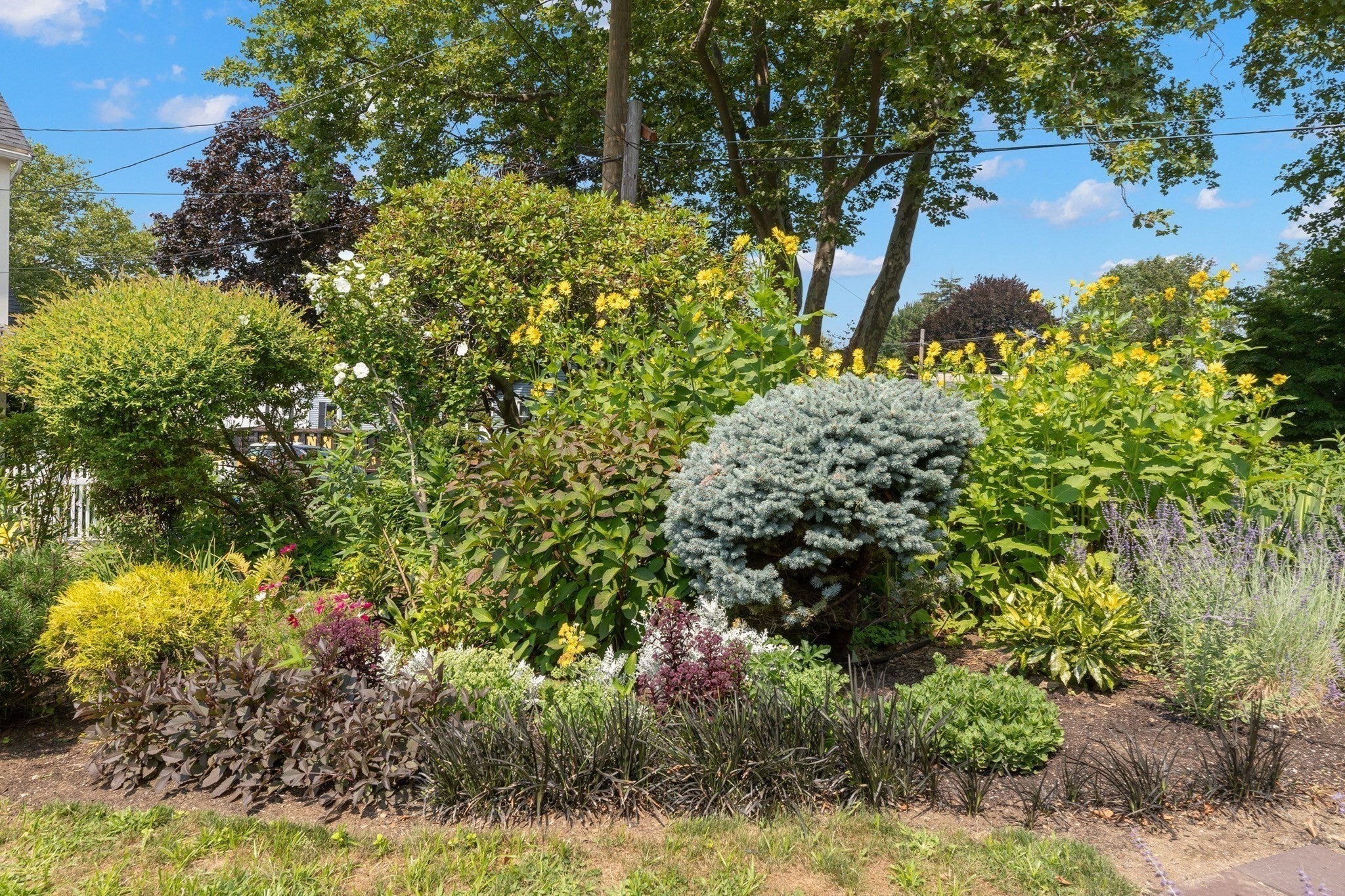 17 Sutton Ave, Salem, MA, 17 Sutton Ave, Salem, MA Photo #42