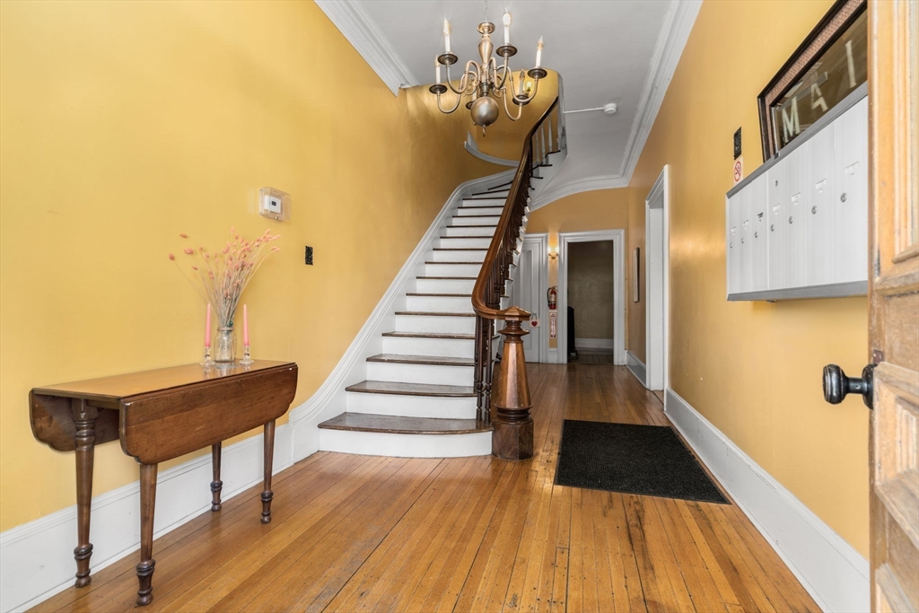 391 Elm St