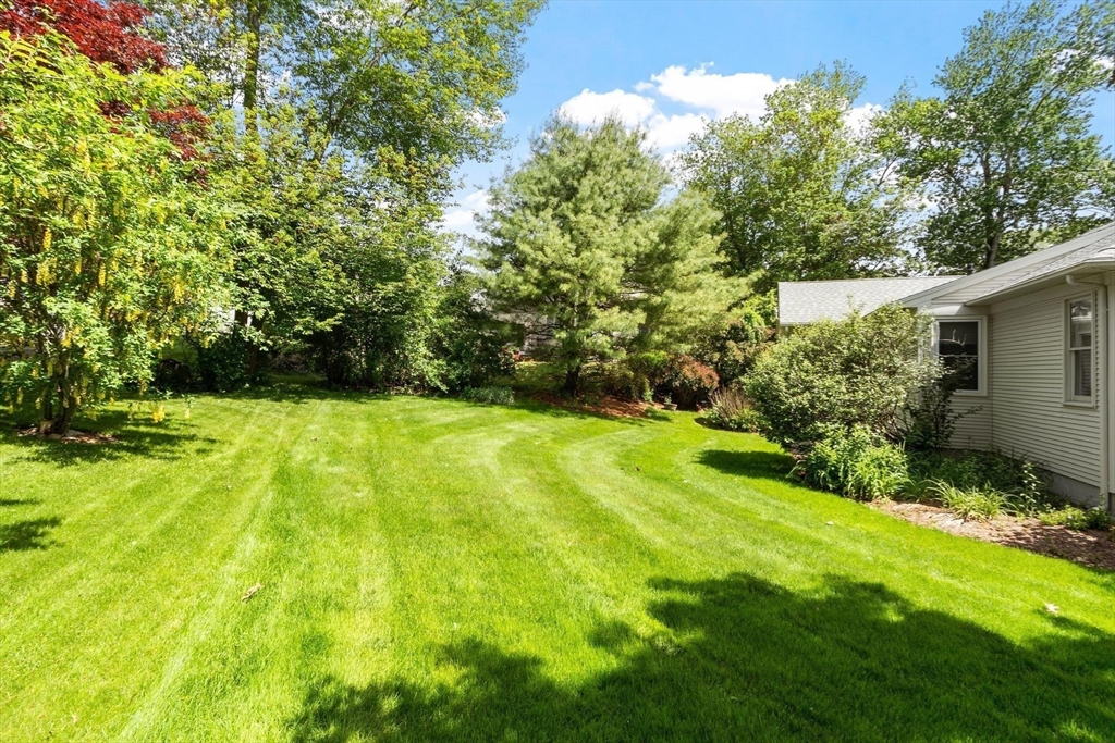 86 Beechwood