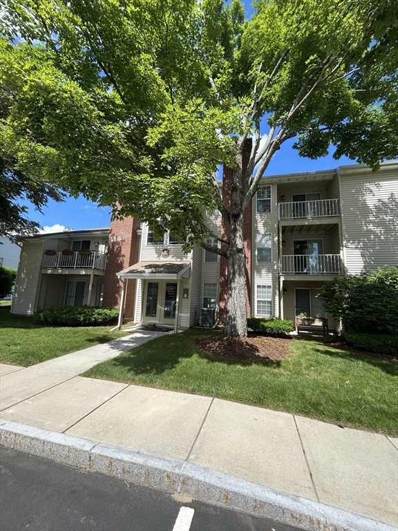 14 Walden Dr 4