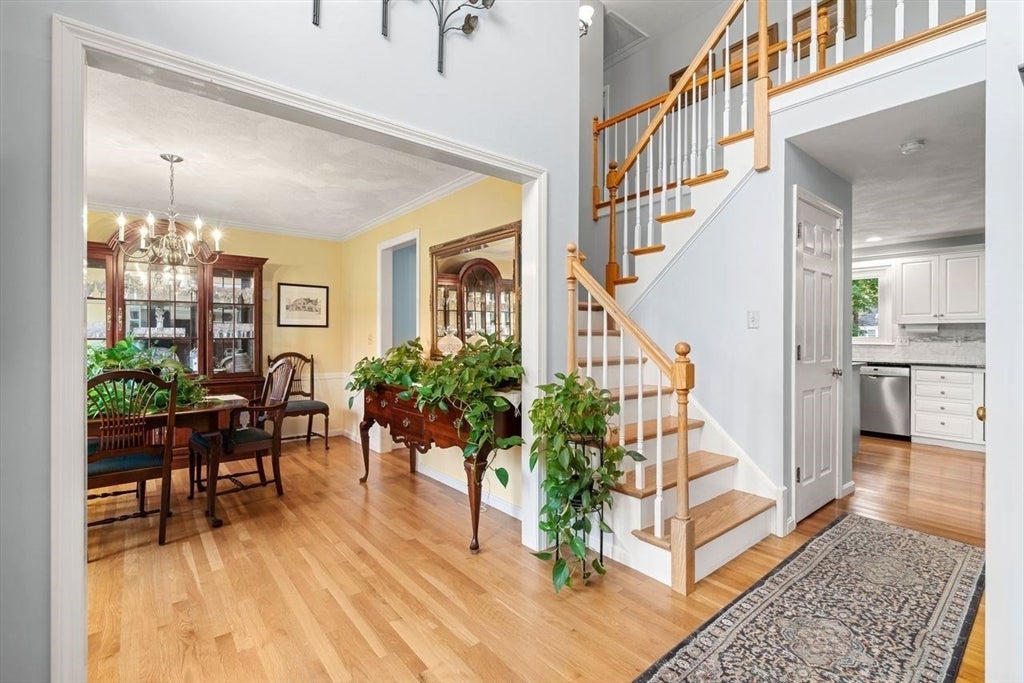 156 Harrington Ave