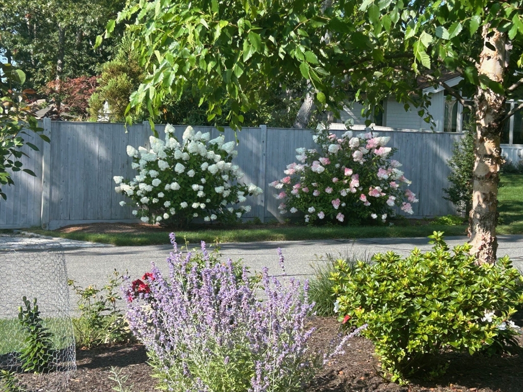 136 Sanddollar Circle