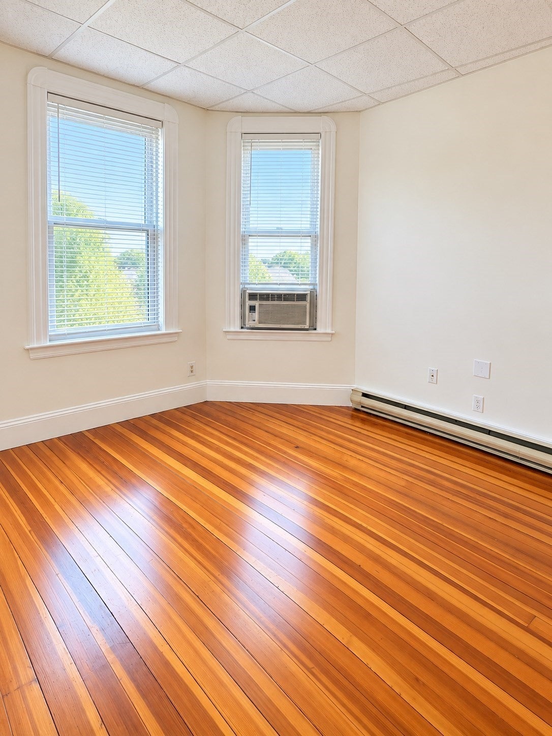 40 Falcon St #3, Boston, MA, 40 Falcon St #3, Boston, MA Photo #3