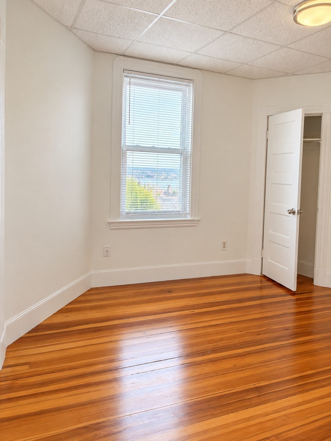 40 Falcon St #3, Boston, MA, 40 Falcon St #3, Boston, MA Photo #4