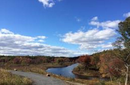 Lot 1 Noonhill Rd, Medfield, MA, Lot 1 Noonhill Rd, Medfield, MA Photo #19