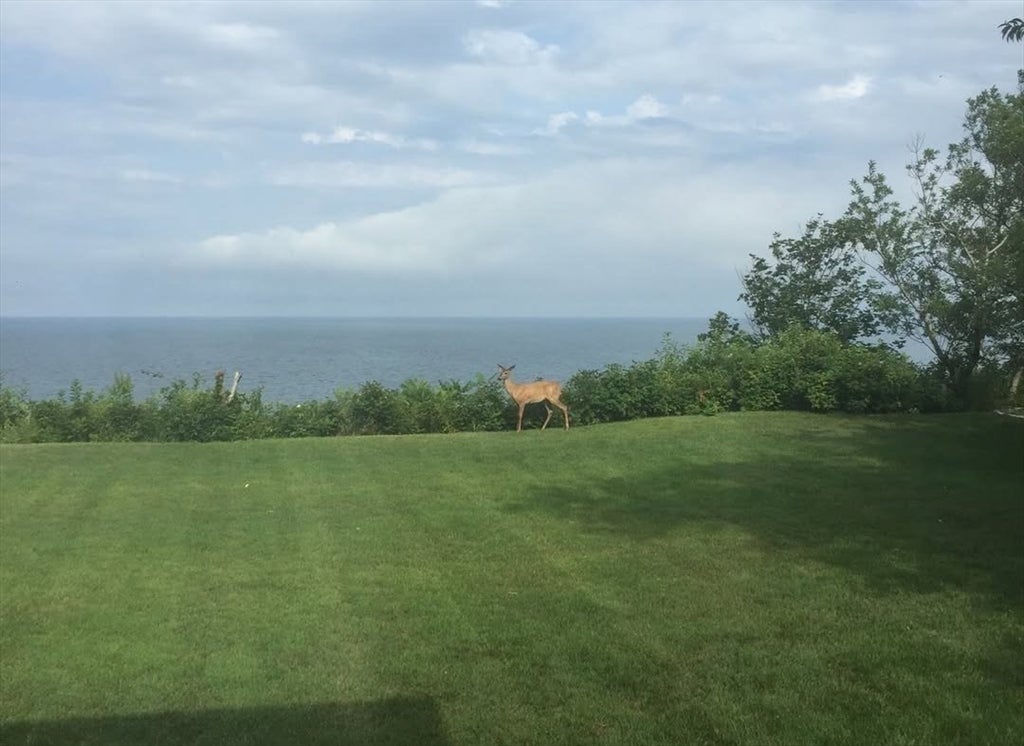 3 Ellisville Drive, Plymouth, MA, 3 Ellisville Drive, Plymouth, MA Photo #40