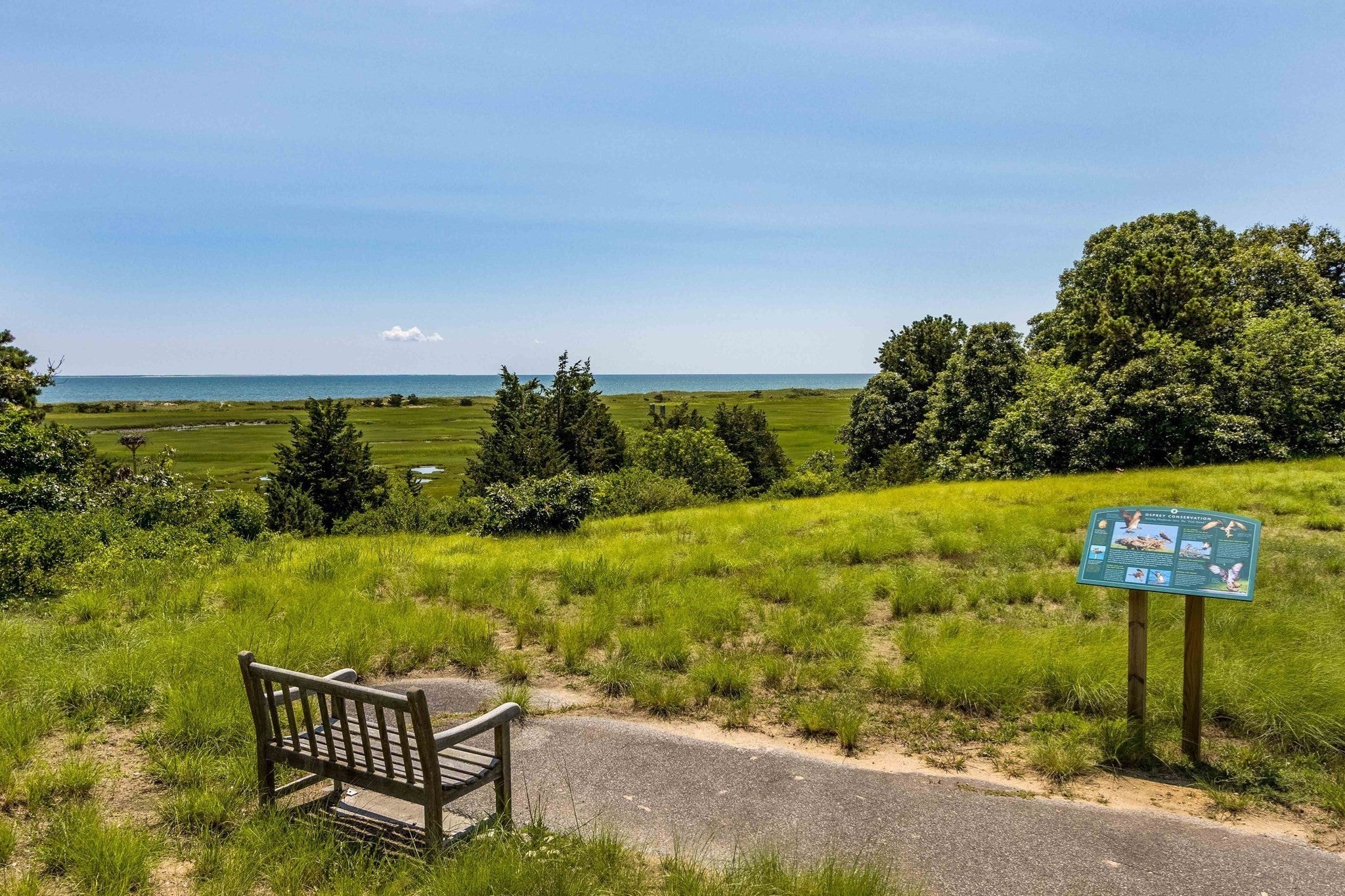 43 Tobey Turtle Rd, Chatham, MA, 43 Tobey Turtle Rd, Chatham, MA Photo #35