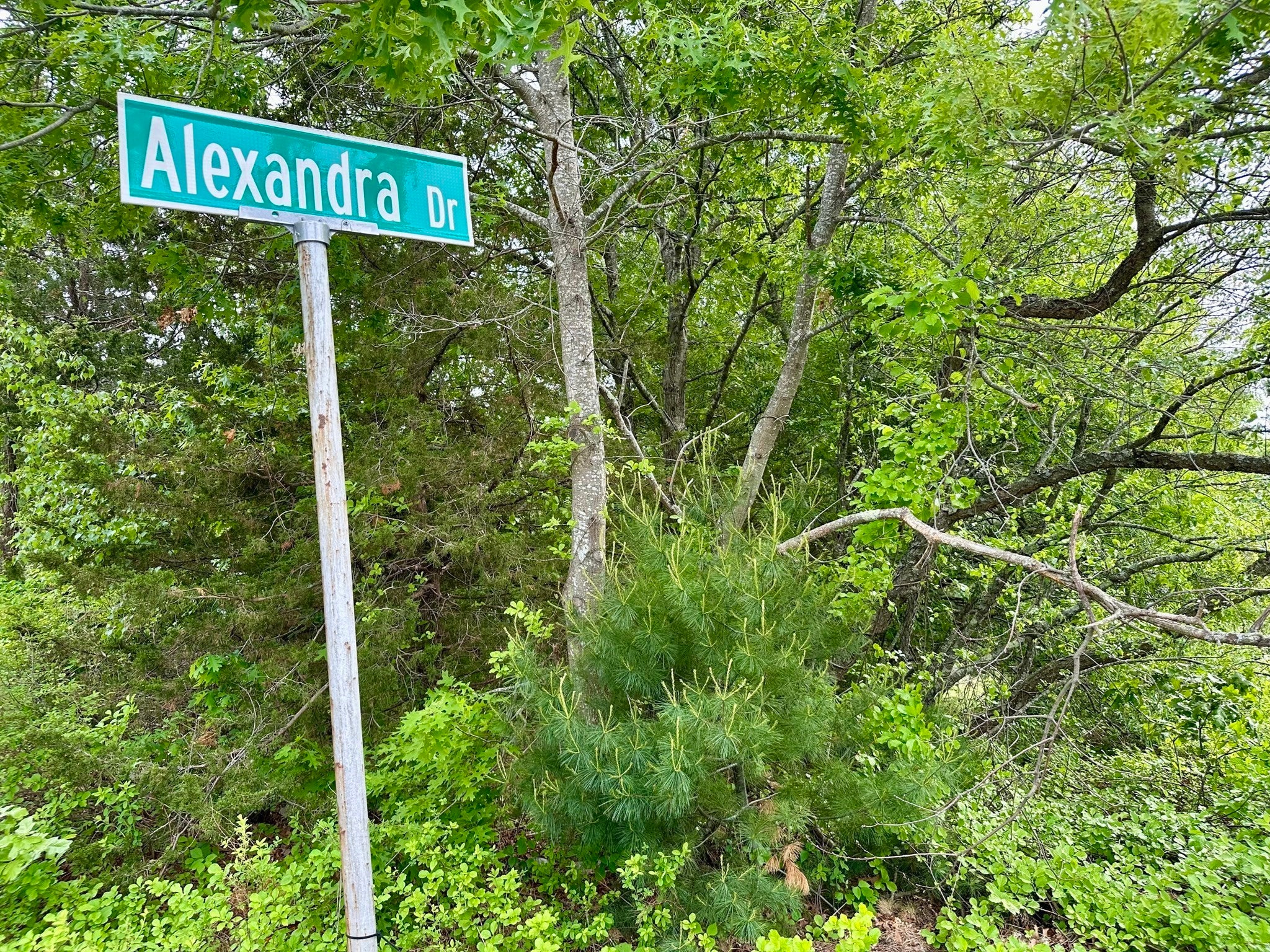 12 Alexandra Dr