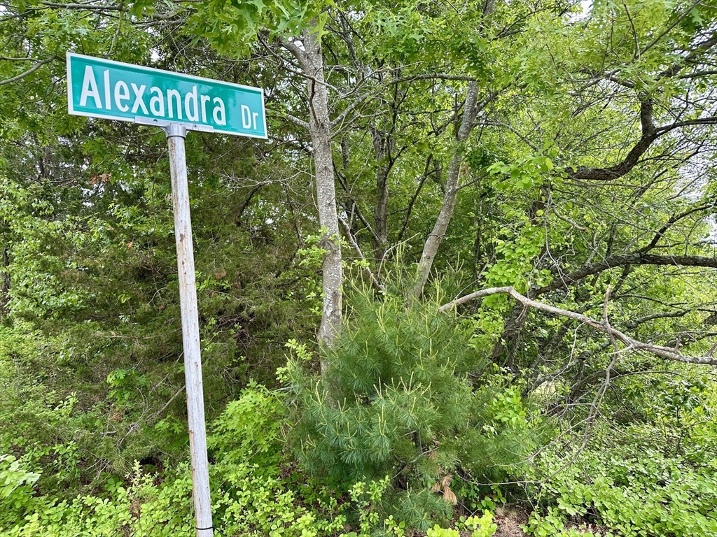 12 Alexandra Dr