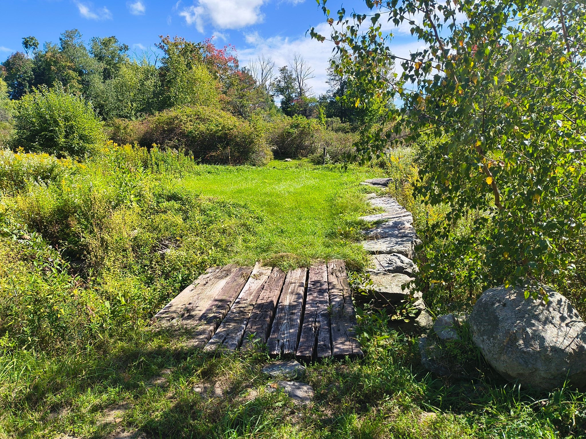 108 Chipman Rd, Middlefield, MA Photo #41