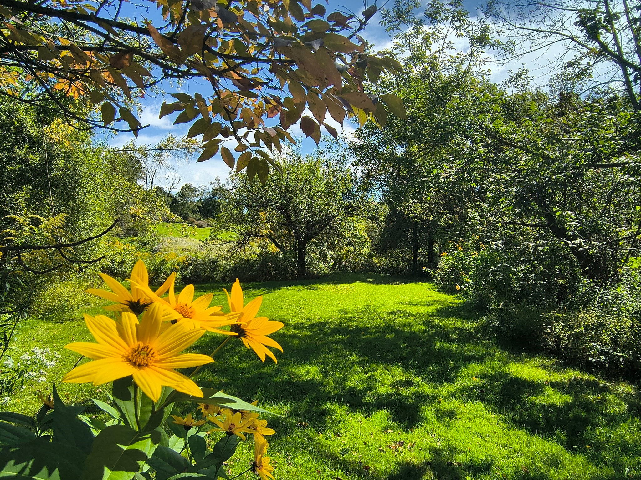 108 Chipman Rd, Middlefield, MA Photo #38