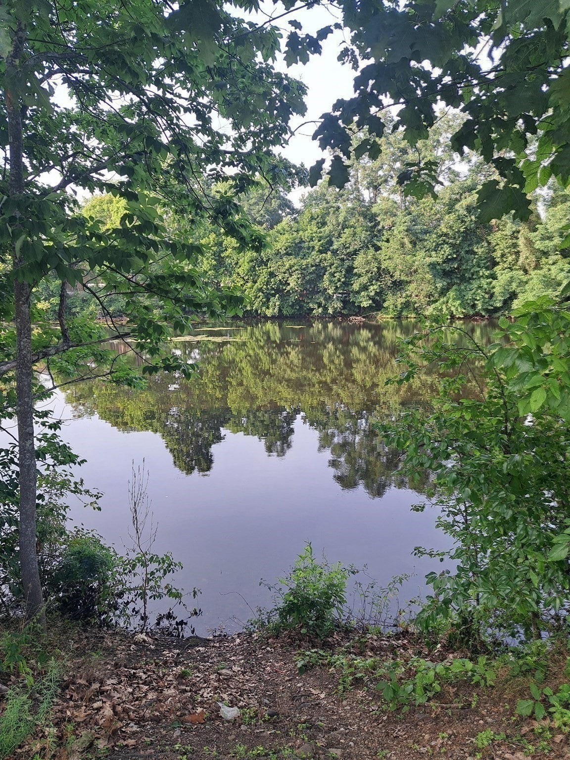 34 Passway One, Worcester, MA Photo #38