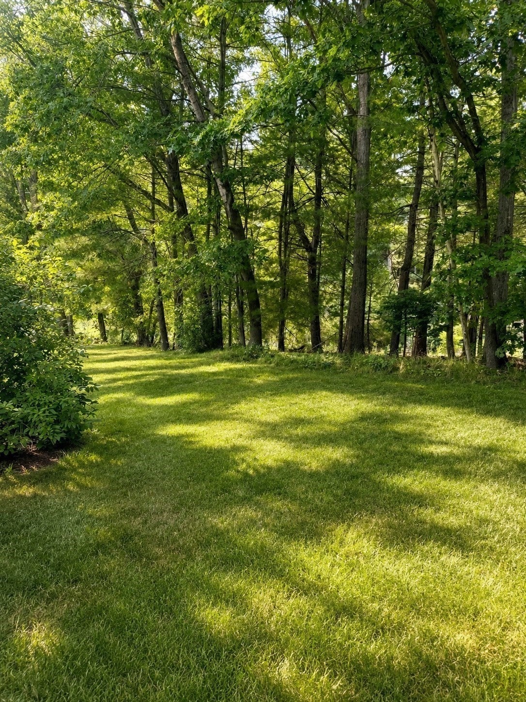 43 Jericho Road #43, Weston, MA, 43 Jericho Road #43, Weston, MA Photo #21