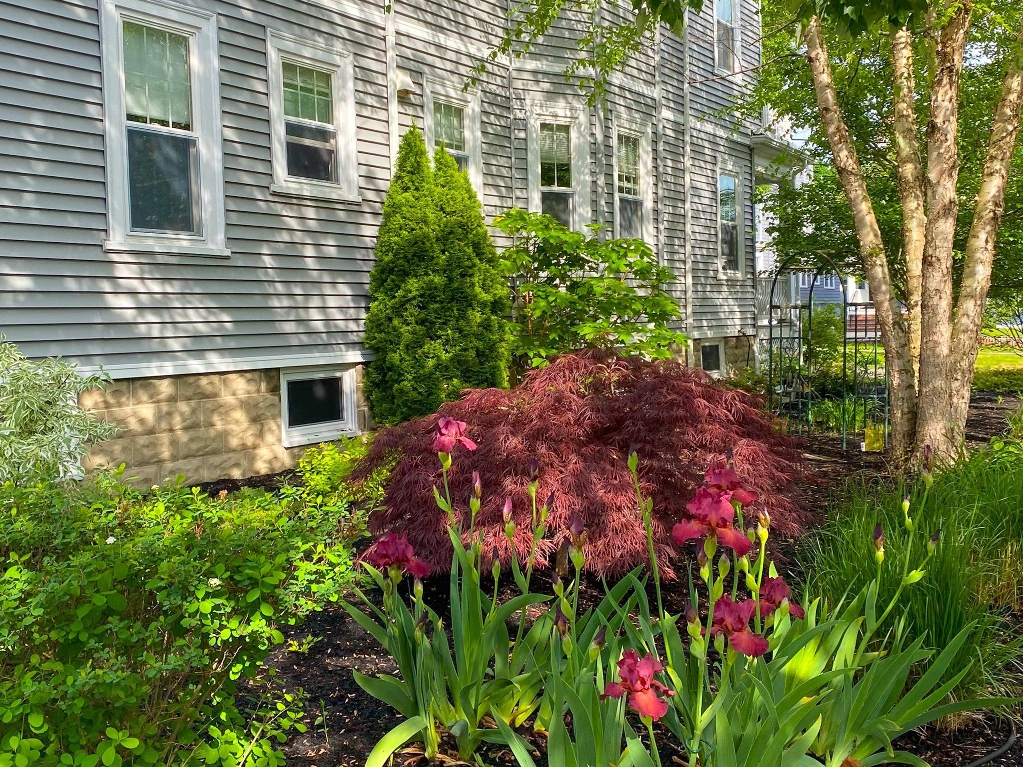 39 Orvis Road #2, Arlington, MA, 39 Orvis Road #2, Arlington, MA Photo #31
