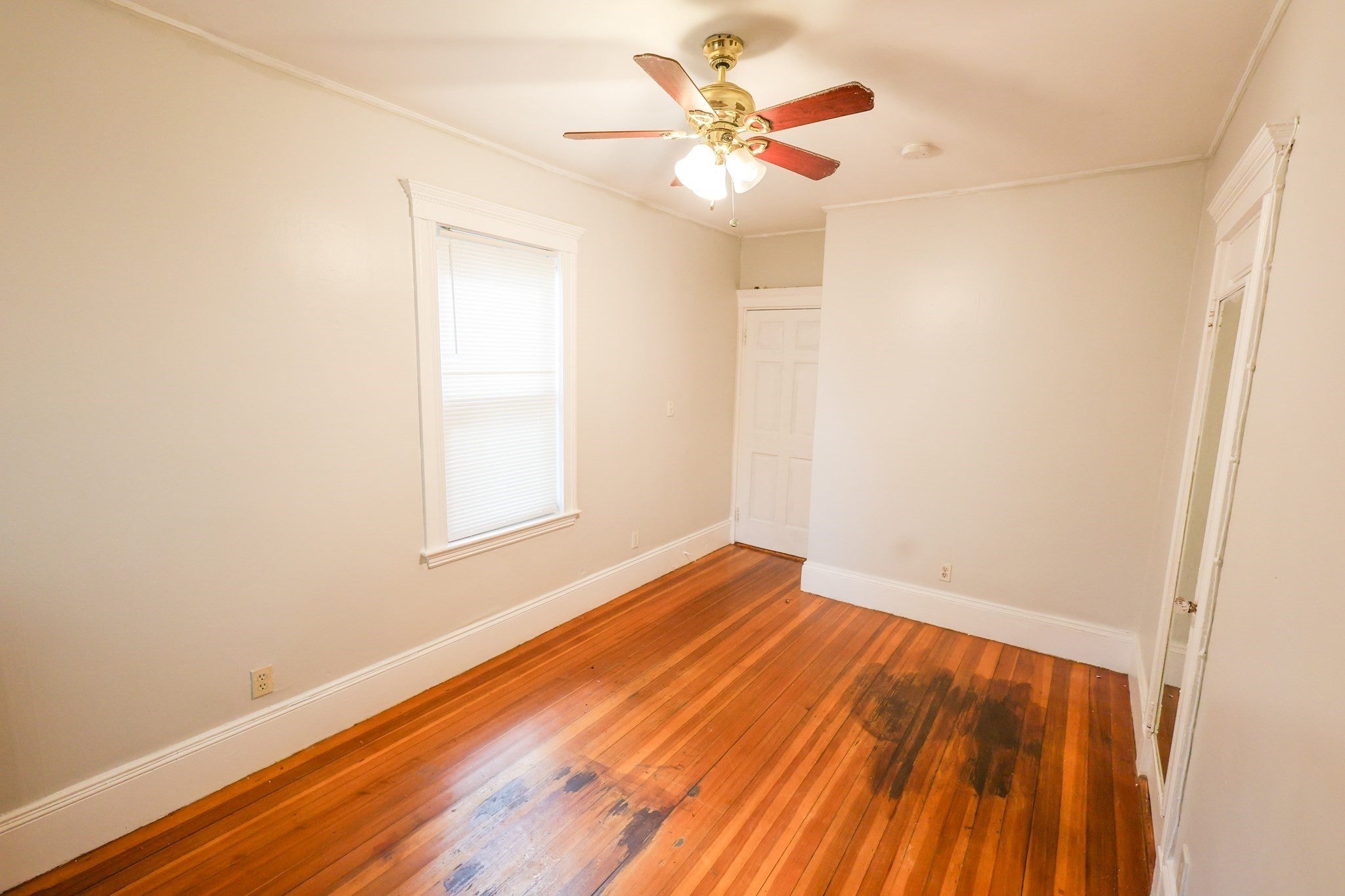 9 Ridgewood Street #2, Boston, MA, 9 Ridgewood Street #2, Boston, MA Photo #11
