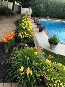 9 Myopia Rd, Stoneham, MA Photo #34