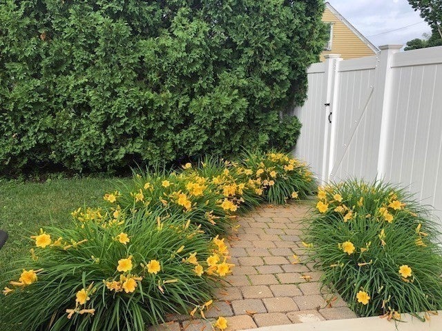 9 Myopia Rd, Stoneham, MA Photo #30