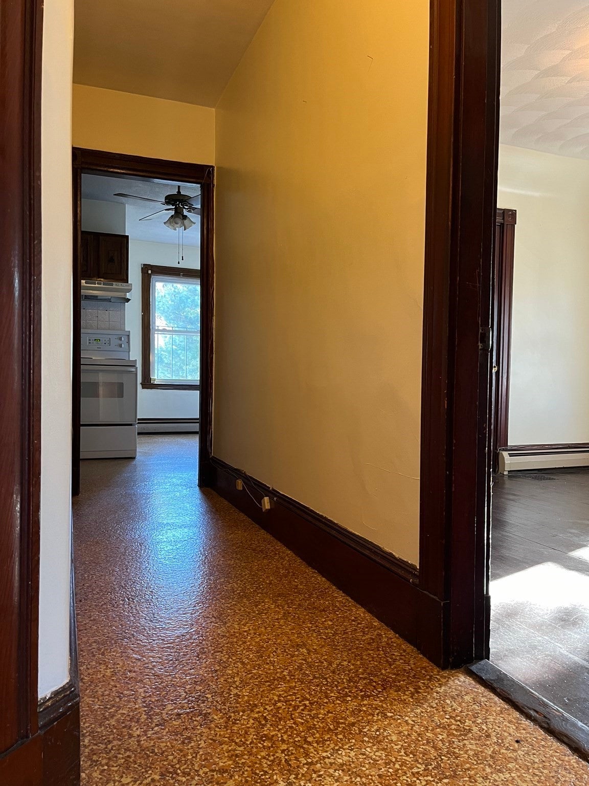168 Elm St #3, Cambridge, MA Photo #9