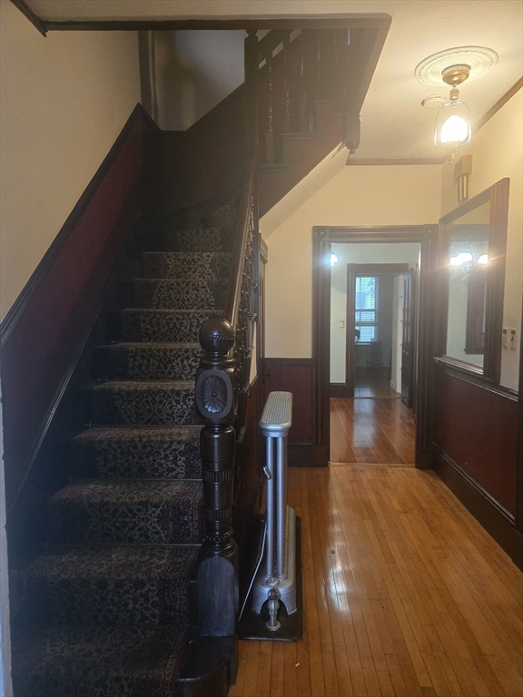 15 Mather St