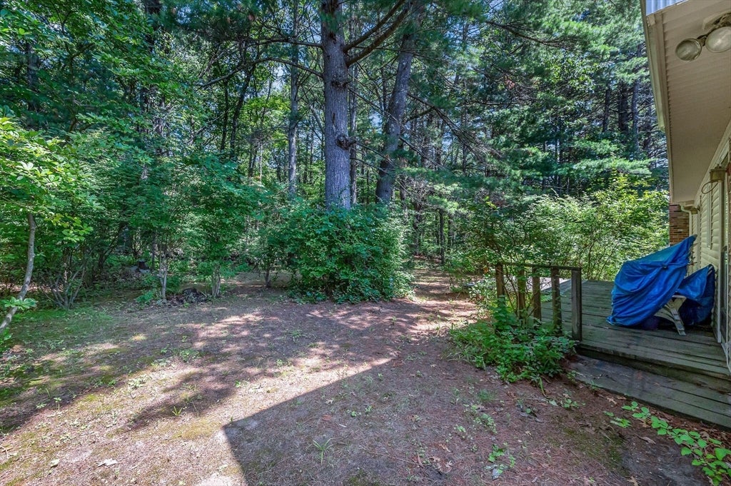 48 Cannington St, Lowell, MA, 48 Cannington St, Lowell, MA Photo #35