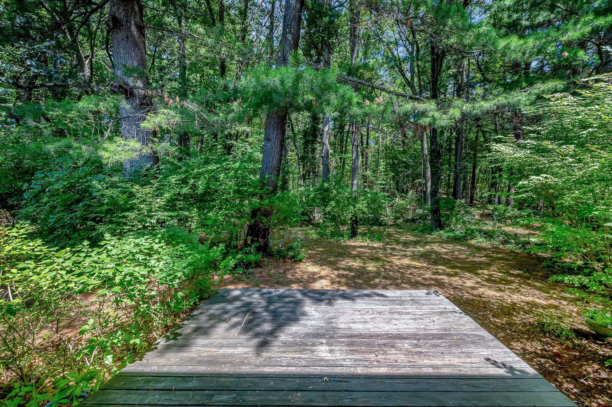 48 Cannington St, Lowell, MA Photo #36
