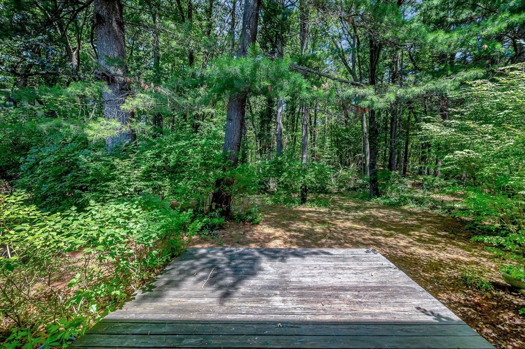 48 Cannington St, Lowell, MA, 48 Cannington St, Lowell, MA Photo #36