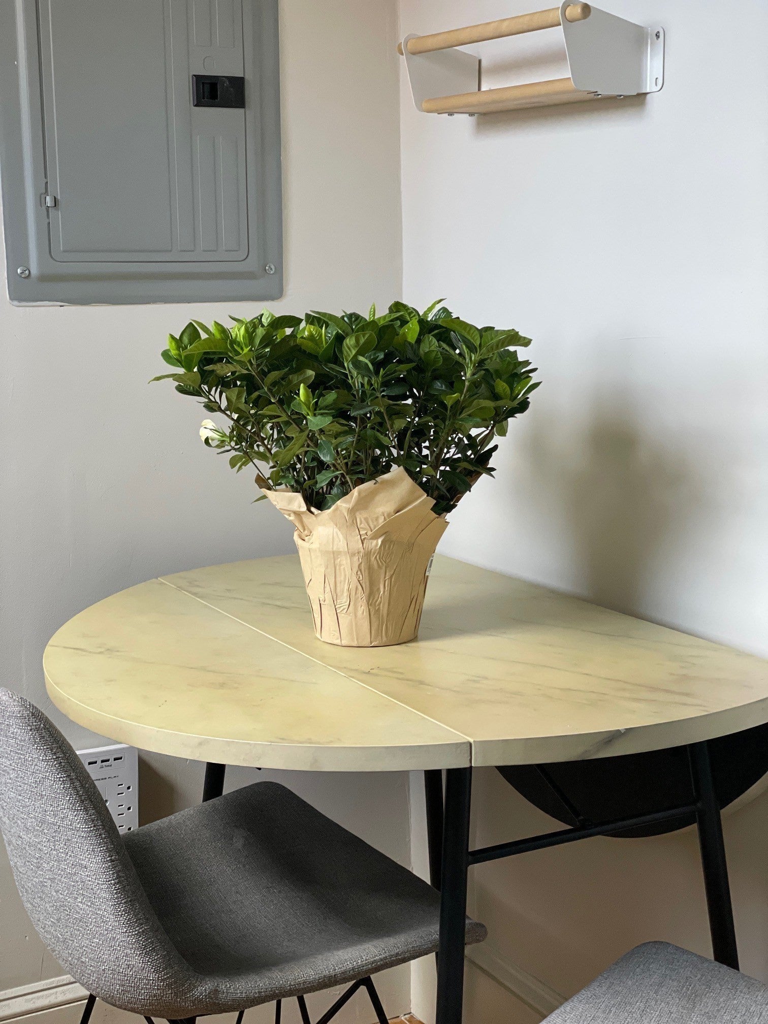 369 Tappan St #20, Brookline, MA, 369 Tappan St #20, Brookline, MA Photo #6