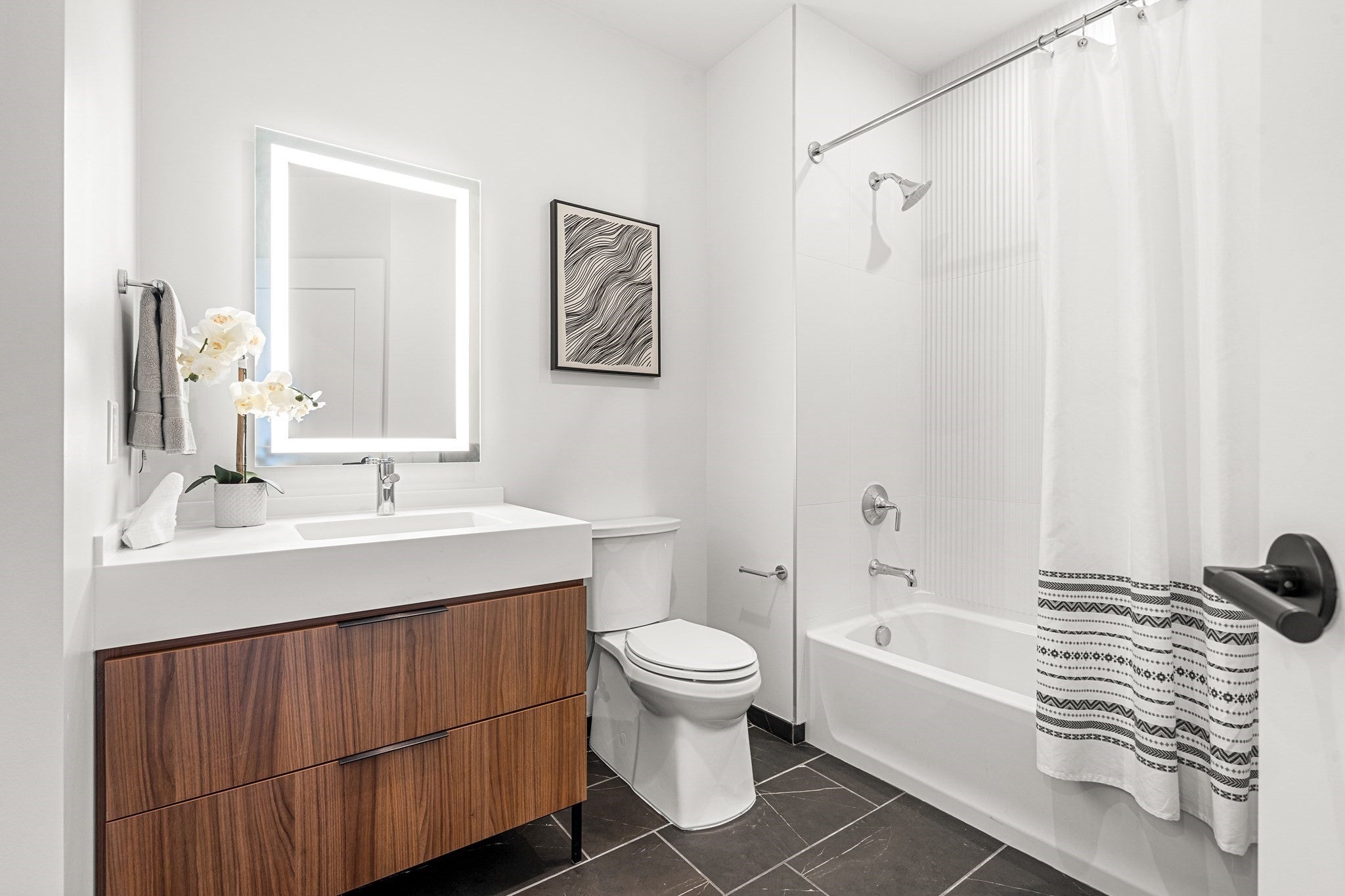 1515 Commonwealth Ave #311, Boston, MA Photo #5