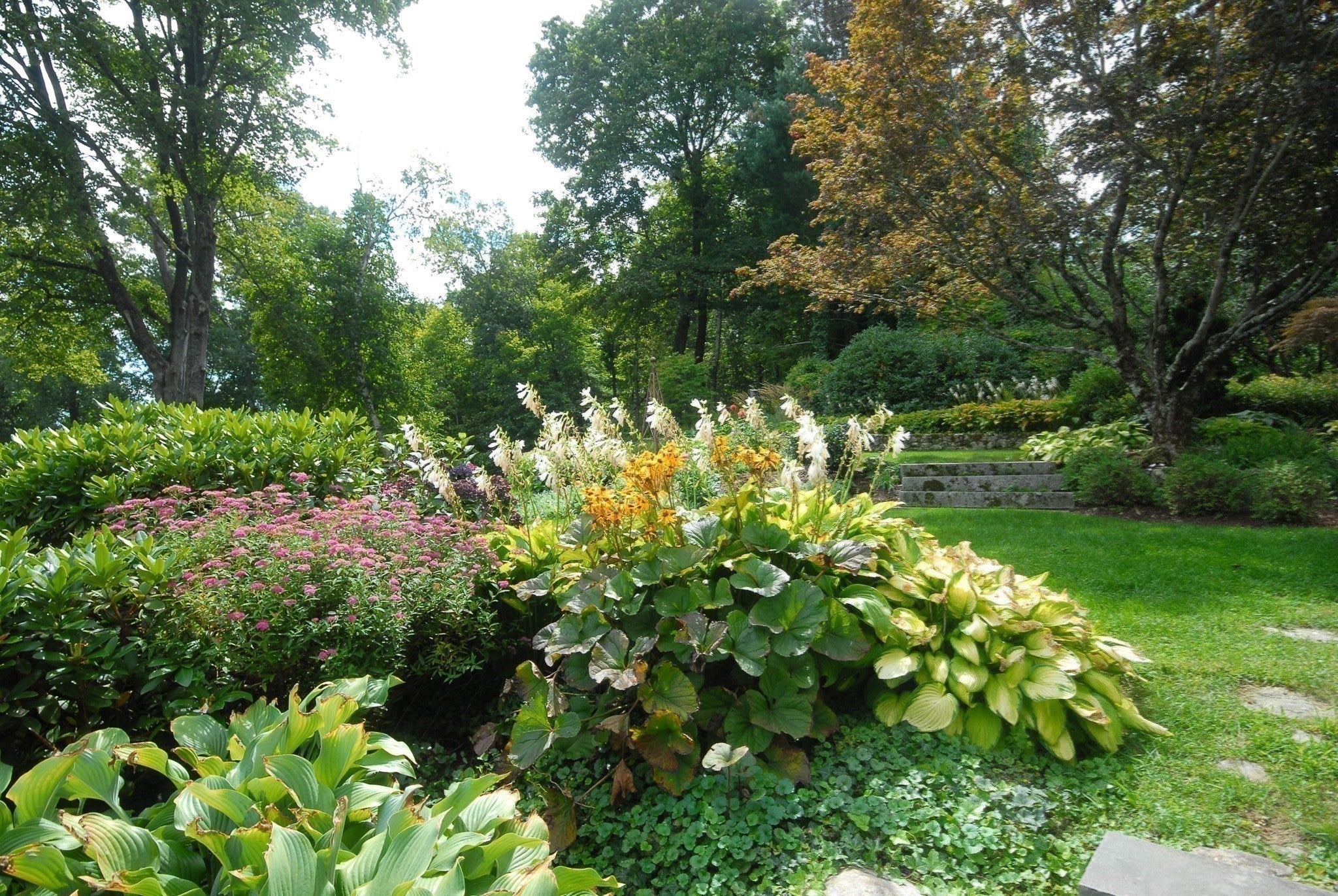 9 Hilliard Road, Lincoln, MA, 9 Hilliard Road, Lincoln, MA Photo #35