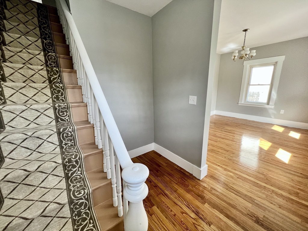 15 Hale St