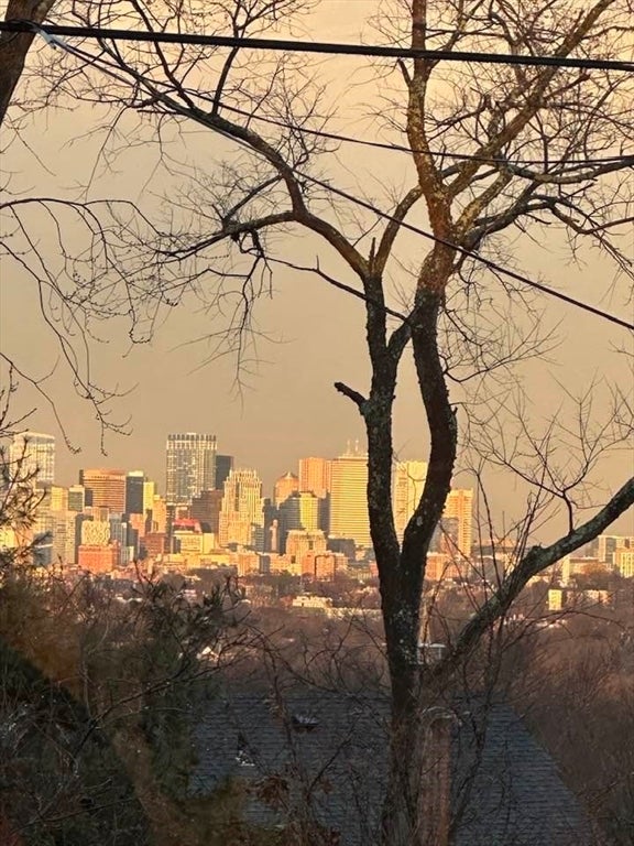 12 Arborview Rd, Boston, MA Photo #41