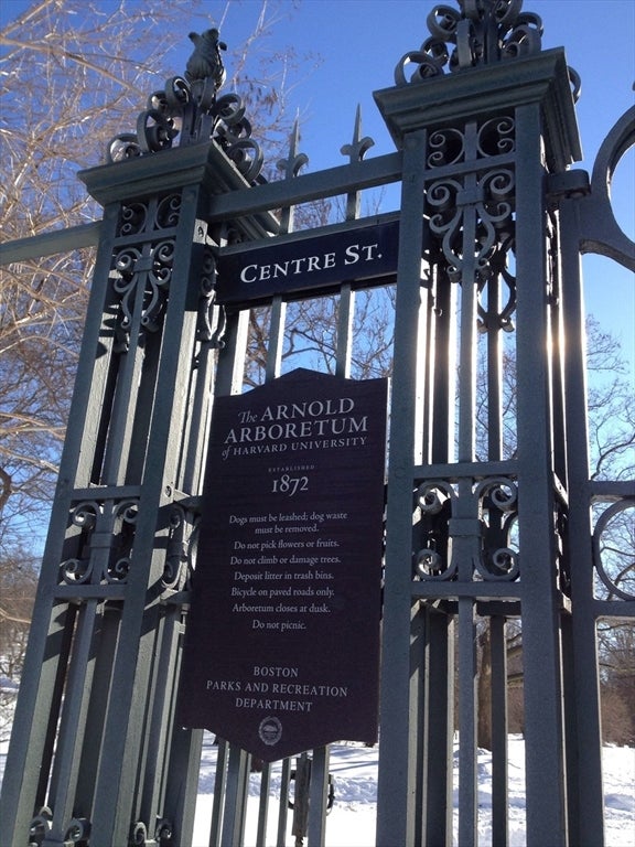 12 Arborview Rd, Boston, MA Photo #42