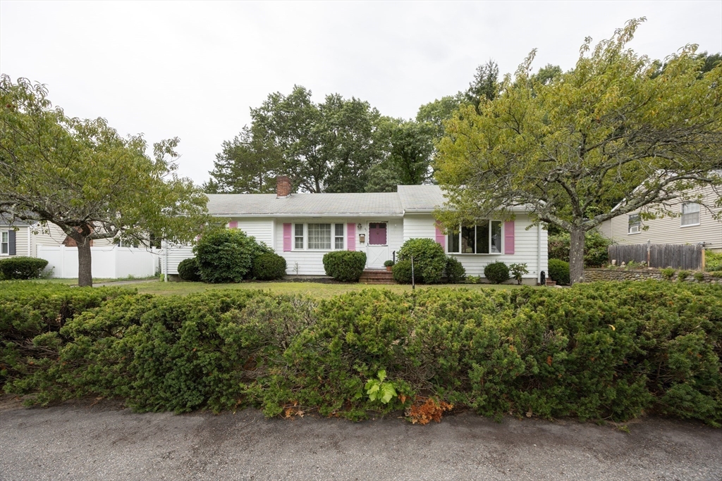 45 Tamworth Rd