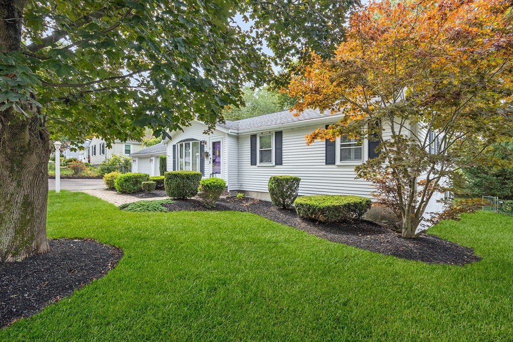45 Forest St