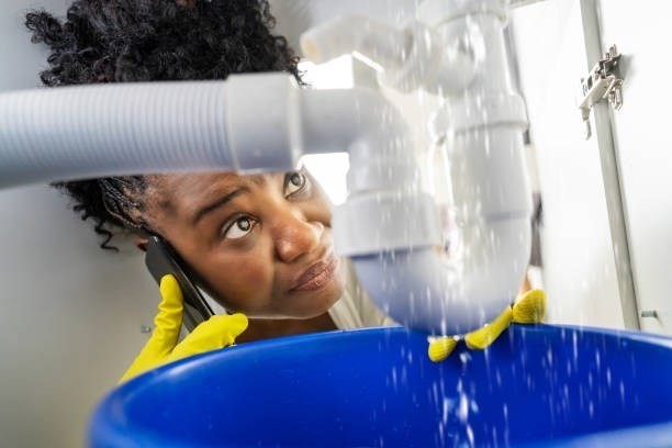 Blue Frog Plumbing & Drain
