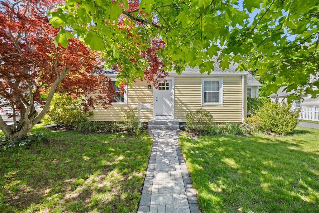 19 Wilbur St